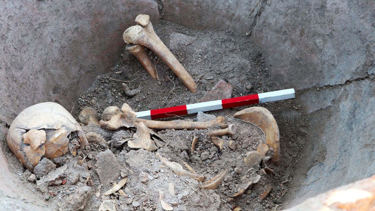1,600-летний скелет в гигантской амфоре в Болгарии мог принадлежать римлянину, прятался там, чтобы укрыться от вражеской атаки